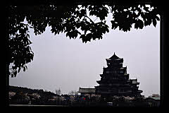 tanSF.D06-05_29()