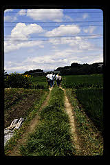 tanSF.D06-06_11()