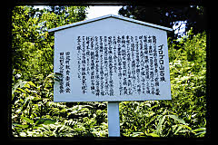 tanSF.D06-06_21()