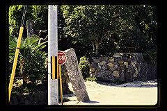 tanSF.D06-06_27()
