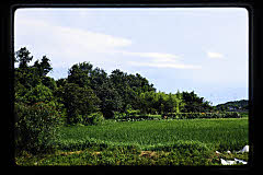 tanSF.D06-06_38()