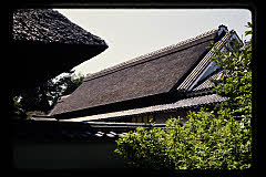 tanSF.D06-07_09()