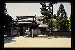 tanSF.D06-07_17()