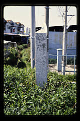 tanSF.D06-07_22()