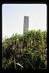 tanSF.D06-07_24()
