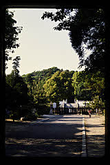 tanSF.D06-07_38()