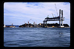tanSF.D06-08_14()