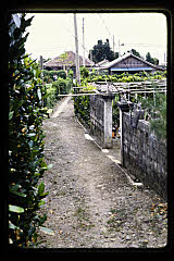 tanSF.D06-09_29()