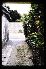 tanSF.D06-09_30()