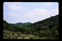tanSF.D06-10_34()