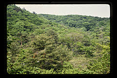 tanSF.D06-10_35()