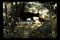 tanSF.D06-12_07()