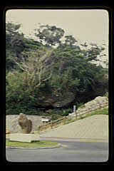 tanSF.D06-12_18()