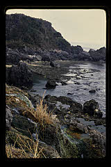 tanSF.D06-12_19()