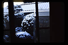 tanSF.D06-13_01()