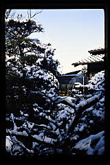 tanSF.D06-13_03()