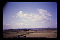 tanSF.D06-14_20()