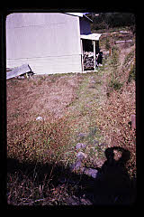 tanSF.D06-14_25()