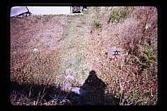 tanSF.D06-14_26()