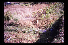 tanSF.D06-14_27()