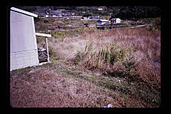 tanSF.D06-14_28()