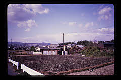 tanSF.D06-14_34()