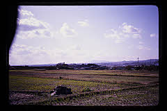 tanSF.D06-14_36()