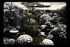tanSF.D06-15_02()