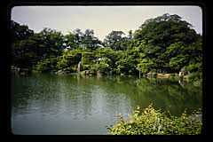 tanSF.D06-15_32()