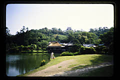 tanSF.D06-15_33()
