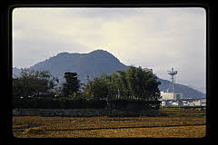 tanSF.D06-17_04()