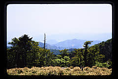 tanSF.D06-19_05()