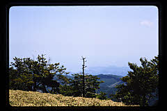 tanSF.D06-19_08()