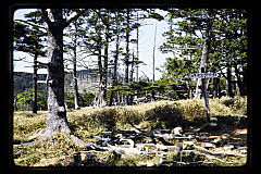 tanSF.D06-19_13()