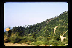 tanSF.D06-19_20()