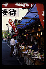 tanSF.D06-19_34()
