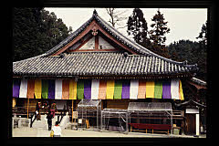 tanSF.D07-01_10()