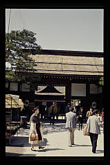 tanSF.D07-01_33()