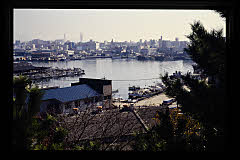 tanSF.D07-03_13()