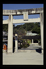 tanSF.D07-03_14()