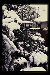 tanSF.D07-05_21()