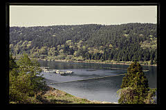 tanSF.D07-06_04()