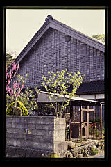 tanSF.D07-06_07()
