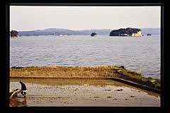 tanSF.D07-06_08()