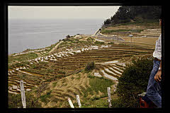 tanSF.D07-06_18()