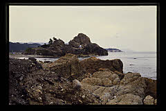 tanSF.D07-06_29()