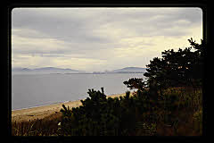 tanSF.D07-12_17()