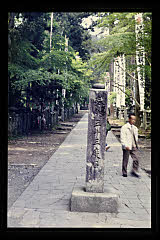 tanSF.D08-01_01()