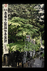 tanSF.D08-01_05()