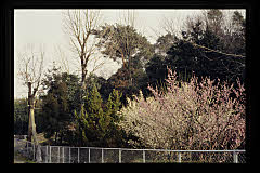tanSF.D08-07_10()
